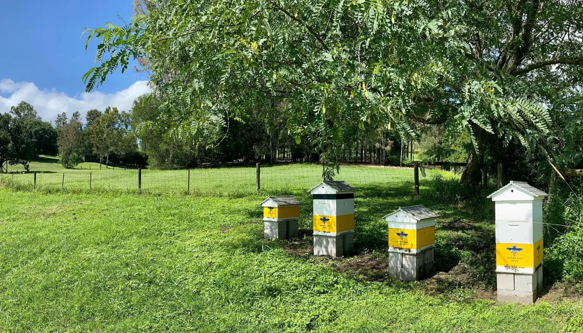 Home [www.bardonbees.com.au]